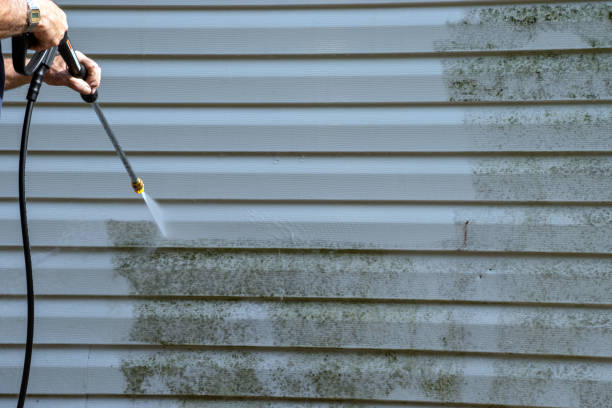 Best Siding Painting and Refinishing  in Taft Mosswood, CA