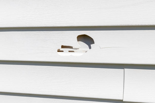 Taft Mosswood, CA Siding Installation & Repair Company